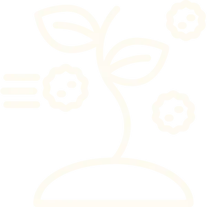 Seasonal allergies icon